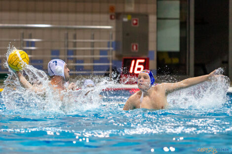 Box Logistics Waterpolo Poznań -  Arkonia Szczecin  Foto: lepszyPOZNAN.pl/Piotr Rychter