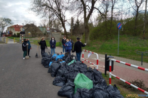 Jak Zosia została EKObohaterem  Foto: Biblioteka Publiczna  Miasta i Gminy Pobiedziska