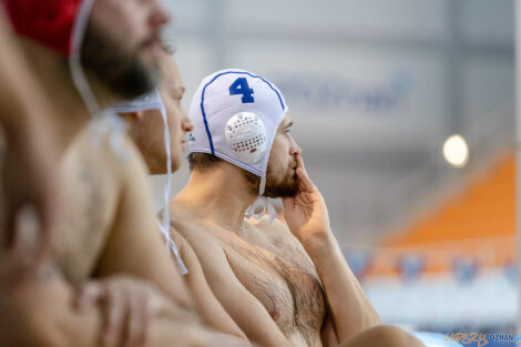 Box Logistics Waterpolo Poznań -  Arkonia Szczecin  Foto: lepszyPOZNAN.pl/Piotr Rychter