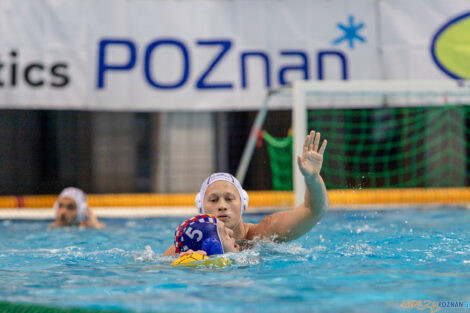 Box Logistics Waterpolo Poznań -  Arkonia Szczecin  Foto: lepszyPOZNAN.pl/Piotr Rychter