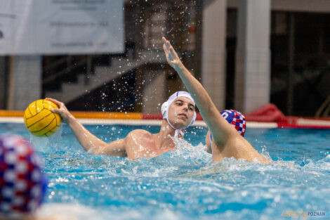 Box Logistics Waterpolo Poznań -  Arkonia Szczecin  Foto: lepszyPOZNAN.pl/Piotr Rychter