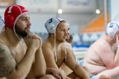 Box Logistics Waterpolo Poznań -  Arkonia Szczecin  Foto: lepszyPOZNAN.pl/Piotr Rychter