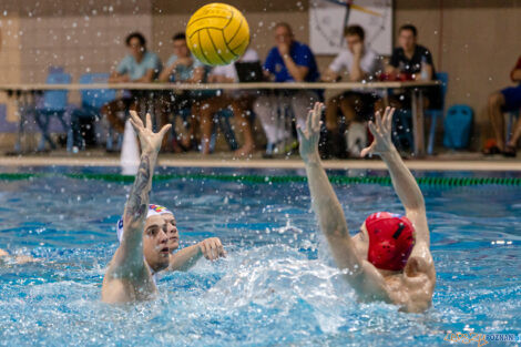 Box Logistics Waterpolo Poznań -  Arkonia Szczecin  Foto: lepszyPOZNAN.pl/Piotr Rychter