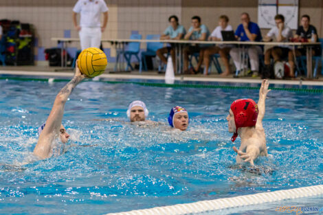 Box Logistics Waterpolo Poznań -  Arkonia Szczecin  Foto: lepszyPOZNAN.pl/Piotr Rychter