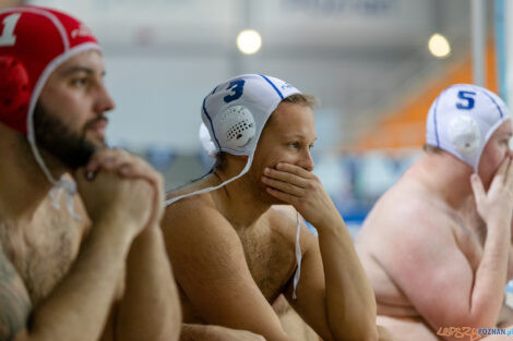 Box Logistics Waterpolo Poznań -  Arkonia Szczecin  Foto: lepszyPOZNAN.pl/Piotr Rychter