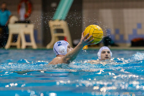 Box Logistics Waterpolo Poznań -  Arkonia Szczecin  Foto: lepszyPOZNAN.pl/Piotr Rychter