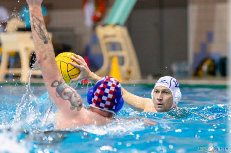 Box Logistics Waterpolo Poznań -  Arkonia Szczecin  Foto: lepszyPOZNAN.pl/Piotr Rychter