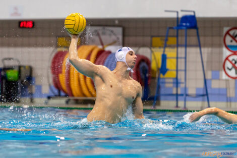 Box Logistics Waterpolo Poznań -  Arkonia Szczecin  Foto: lepszyPOZNAN.pl/Piotr Rychter