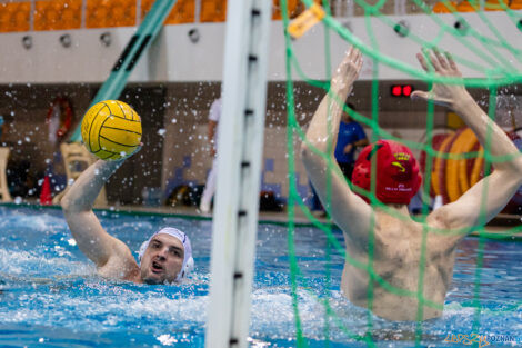 Box Logistics Waterpolo Poznań -  Arkonia Szczecin  Foto: lepszyPOZNAN.pl/Piotr Rychter