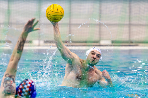 Box Logistics Waterpolo Poznań -  Arkonia Szczecin  Foto: lepszyPOZNAN.pl/Piotr Rychter