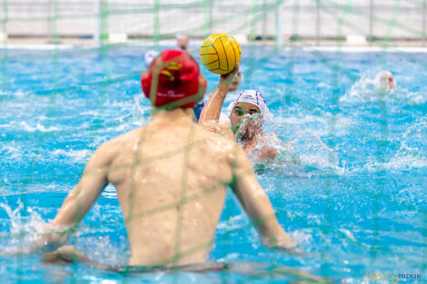 Box Logistics Waterpolo Poznań -  Arkonia Szczecin  Foto: lepszyPOZNAN.pl/Piotr Rychter