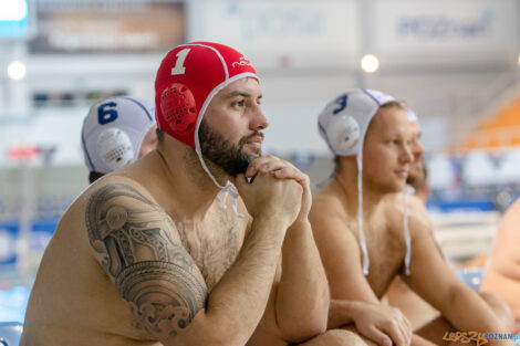 Box Logistics Waterpolo Poznań -  Arkonia Szczecin  Foto: lepszyPOZNAN.pl/Piotr Rychter