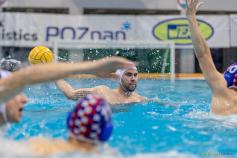 Box Logistics Waterpolo Poznań -  Arkonia Szczecin  Foto: lepszyPOZNAN.pl/Piotr Rychter