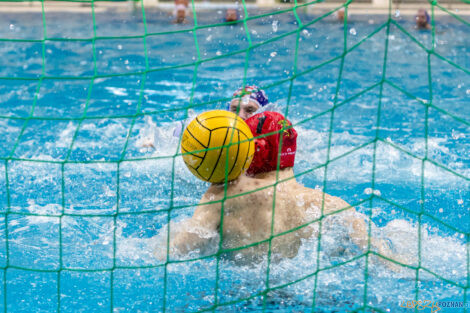 Box Logistics Waterpolo Poznań -  Arkonia Szczecin  Foto: lepszyPOZNAN.pl/Piotr Rychter