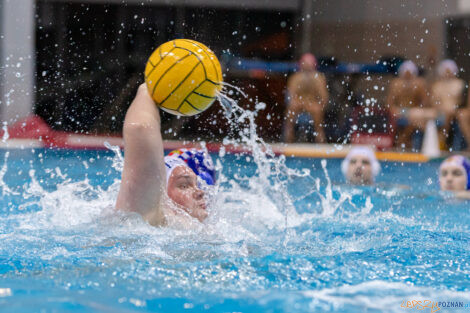 Box Logistics Waterpolo Poznań -  Arkonia Szczecin  Foto: lepszyPOZNAN.pl/Piotr Rychter