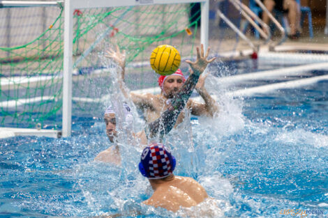 Box Logistics Waterpolo Poznań -  Arkonia Szczecin  Foto: lepszyPOZNAN.pl/Piotr Rychter