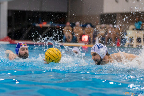 Box Logistics Waterpolo Poznań -  Arkonia Szczecin  Foto: lepszyPOZNAN.pl/Piotr Rychter