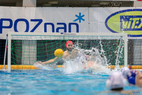 Box Logistics Waterpolo Poznań -  Arkonia Szczecin  Foto: lepszyPOZNAN.pl/Piotr Rychter