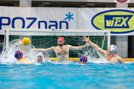 Box Logistics Waterpolo Poznań -  Arkonia Szczecin  Foto: lepszyPOZNAN.pl/Piotr Rychter