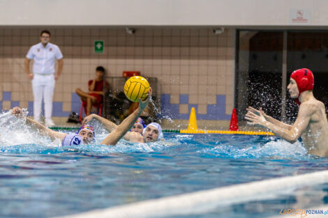 Box Logistics Waterpolo Poznań -  Arkonia Szczecin  Foto: lepszyPOZNAN.pl/Piotr Rychter