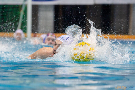 Box Logistics Waterpolo Poznań -  Arkonia Szczecin  Foto: lepszyPOZNAN.pl/Piotr Rychter