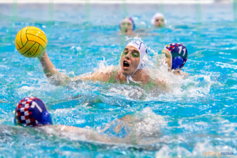 Box Logistics Waterpolo Poznań -  Arkonia Szczecin  Foto: lepszyPOZNAN.pl/Piotr Rychter