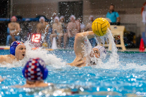 Box Logistics Waterpolo Poznań -  Arkonia Szczecin  Foto: lepszyPOZNAN.pl/Piotr Rychter