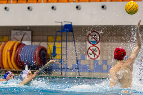 Box Logistics Waterpolo Poznań -  Arkonia Szczecin  Foto: lepszyPOZNAN.pl/Piotr Rychter