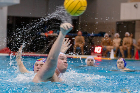 Box Logistics Waterpolo Poznań -  Arkonia Szczecin  Foto: lepszyPOZNAN.pl/Piotr Rychter