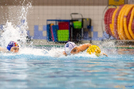 Box Logistics Waterpolo Poznań -  Arkonia Szczecin  Foto: lepszyPOZNAN.pl/Piotr Rychter