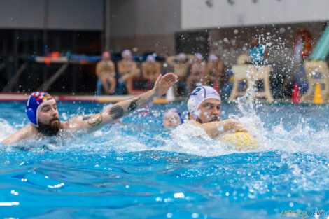 Box Logistics Waterpolo Poznań -  Arkonia Szczecin  Foto: lepszyPOZNAN.pl/Piotr Rychter