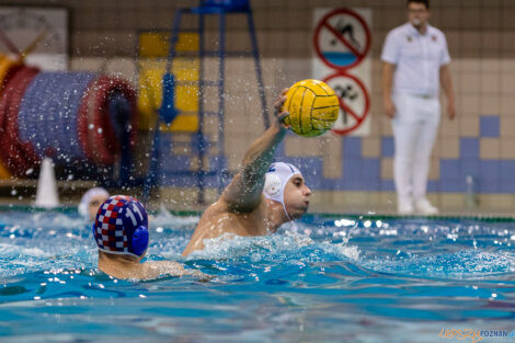 Box Logistics Waterpolo Poznań -  Arkonia Szczecin  Foto: lepszyPOZNAN.pl/Piotr Rychter