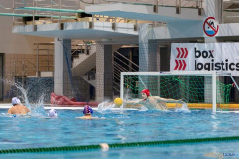 Box Logistics Waterpolo Poznań -  Arkonia Szczecin  Foto: lepszyPOZNAN.pl/Piotr Rychter