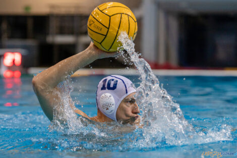 Box Logistics Waterpolo Poznań -  Arkonia Szczecin  Foto: lepszyPOZNAN.pl/Piotr Rychter