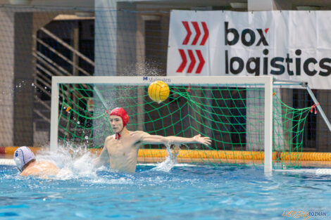 Box Logistics Waterpolo Poznań -  Arkonia Szczecin  Foto: lepszyPOZNAN.pl/Piotr Rychter