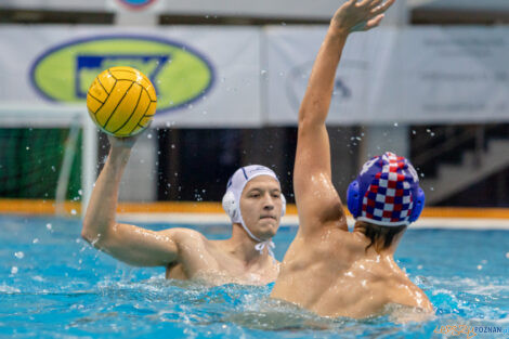 Box Logistics Waterpolo Poznań -  Arkonia Szczecin  Foto: lepszyPOZNAN.pl/Piotr Rychter