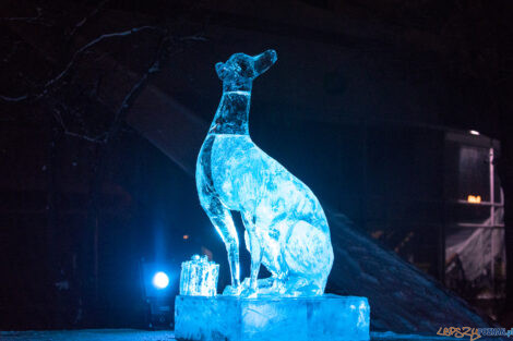 XV Poznań Ice Festival 2021: konkurs główny - Arena, Poznań  Foto: Paweł Rychter