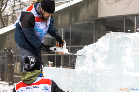 XV Poznań Ice Festival 2021: konkurs główny - Arena, Poznań  Foto: Paweł Rychter