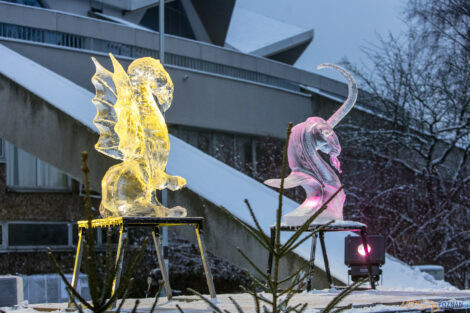 XV Poznań Ice Festival 2021: konkurs speed ice carving - Arena,  Foto: Paweł Rychter