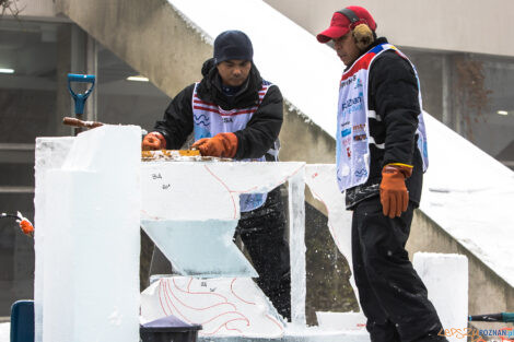 XV Poznań Ice Festival 2021: konkurs główny - Arena, Poznań  Foto: Paweł Rychter