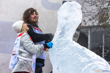 XV Poznań Ice Festival 2021: konkurs główny - Arena, Poznań  Foto: Paweł Rychter