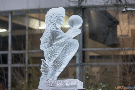 XV Poznań Ice Festival 2021: konkurs speed ice carving - Arena,  Foto: Paweł Rychter