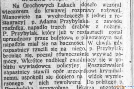 Dziennik Poznanski 22.12.1932 Grochowe Laki  Foto: 