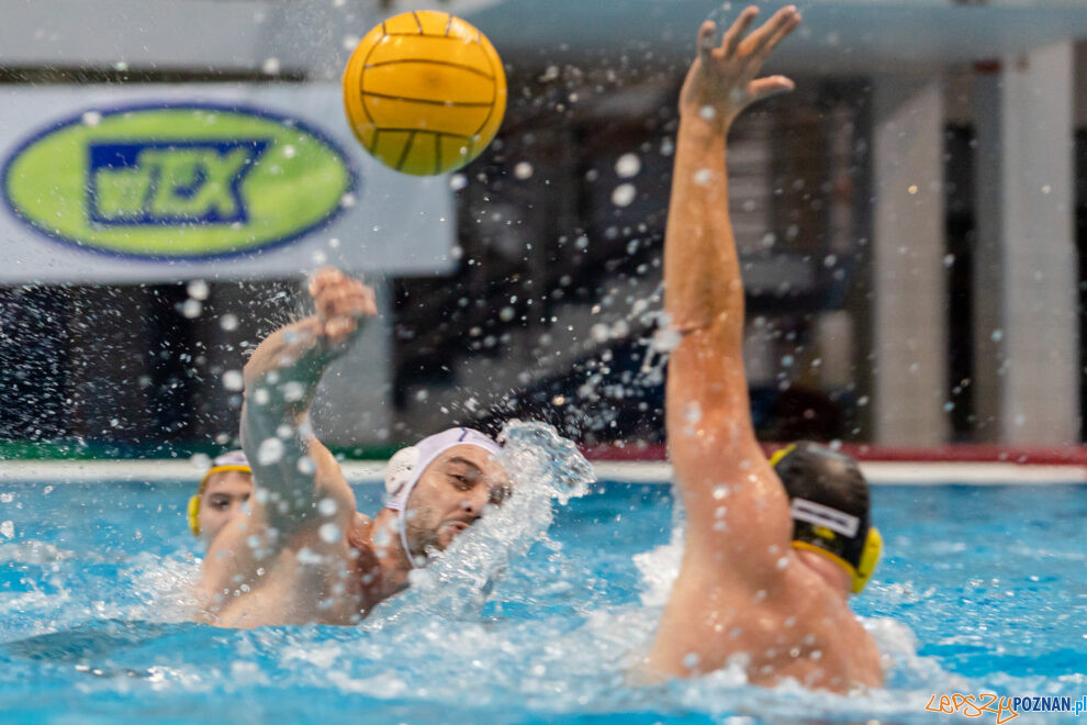 Box Logistics Waterpolo Poznań - WTS Polonia Bytom  Foto: lepszyPOZNAN.pl/Piotr Rychter