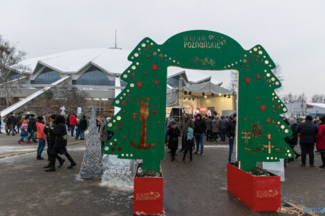 XV Poznań Ice Festival 2021: konkurs speed ice carving - Arena,  Foto: Paweł Rychter