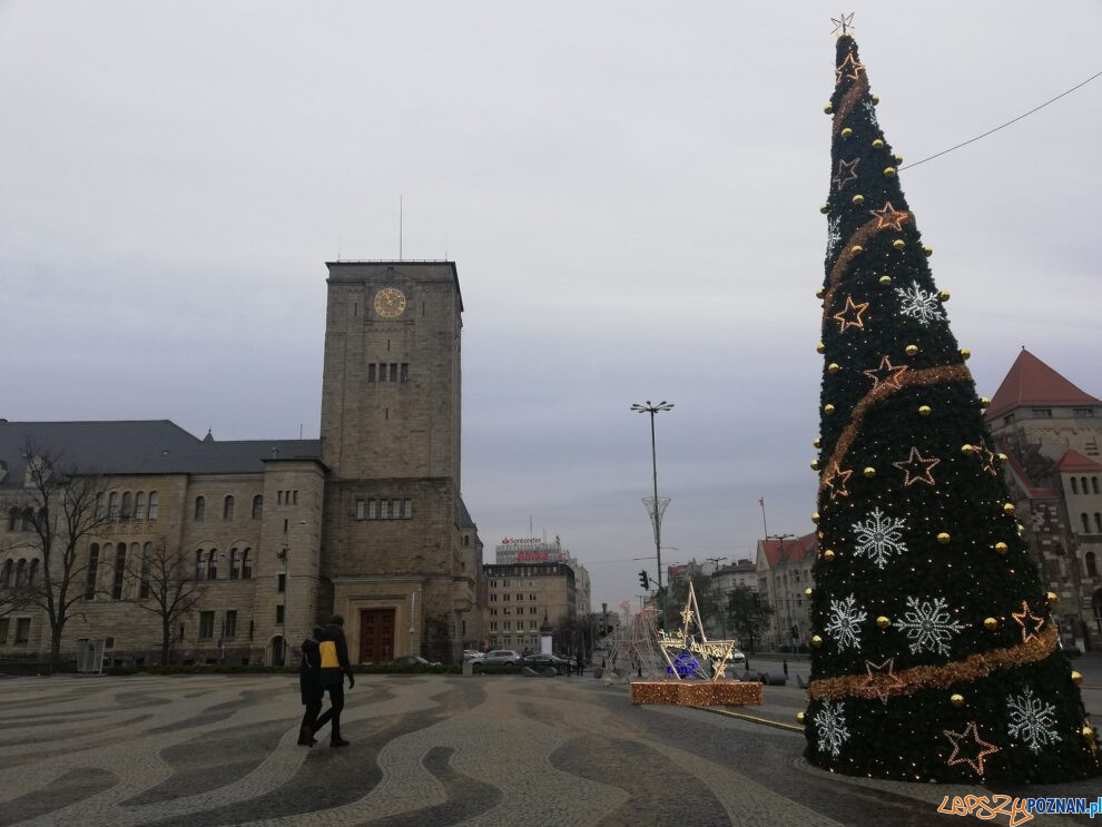 Plac Mickiewicza  Foto: Tomasz Dworek