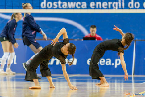 Enea Energetyk Poznań - Asotra Płomień Sosnowiec  Foto: lepszyPOZNAN.pl/Piotr Rychter