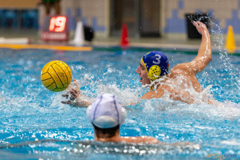 Box Logistics Waterpolo Poznań - UKS Neptun Uniwersytet Łódzk  Foto: lepszyPOZNAN.pl/Piotr Rychter