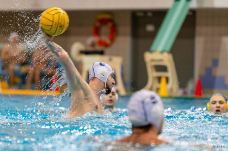 Box Logistics Waterpolo Poznań - UKS Neptun Uniwersytet Łódzk  Foto: lepszyPOZNAN.pl/Piotr Rychter