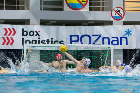 Box Logistics Waterpolo Poznań - UKS Neptun Uniwersytet Łódzk  Foto: lepszyPOZNAN.pl/Piotr Rychter